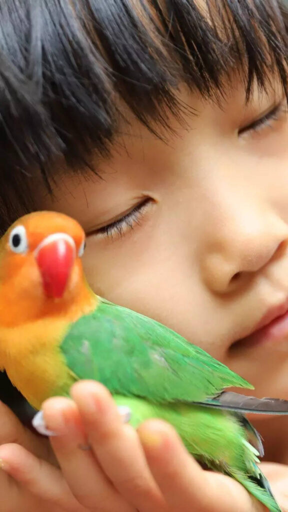 8 highly trainable pet birds